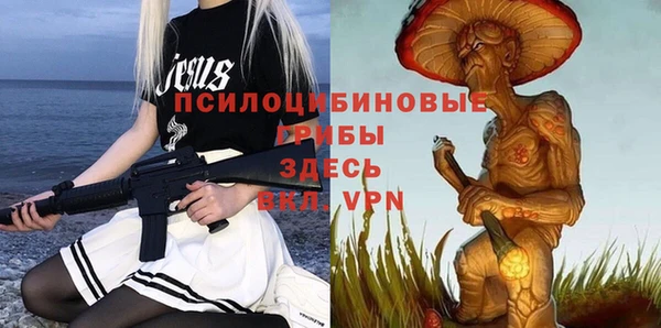 бошки Слюдянка