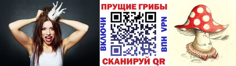 наркота  Гагарин  Галлюциногенные грибы Psilocybe 